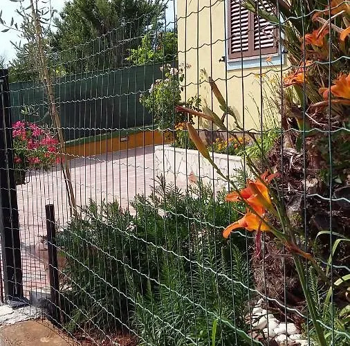 Διαμέρισμα 1